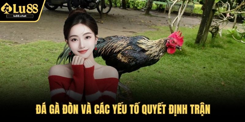 Đá gà đòn và các yếu tố quyết định trận